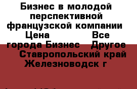 Бизнес в молодой перспективной французской компании › Цена ­ 30 000 - Все города Бизнес » Другое   . Ставропольский край,Железноводск г.